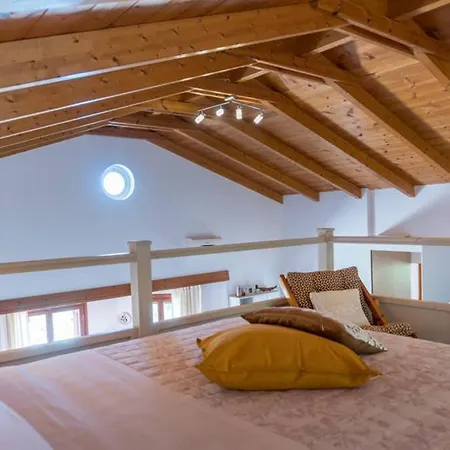 Dn - Sea And Nature In Zakynthos Island Skinaria